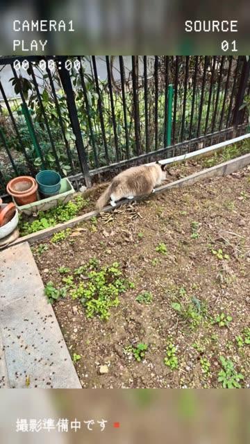 抖音张老师个人照片全集下载,张贺玉最新资源获取指南 抖音张老师个人照片全集下载,张贺玉最新资源获取指南