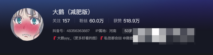 如何看待抖音网红大鹅gaga(大鹅姐姐)微密圈资源