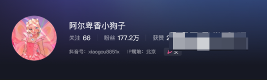 阿尔卑香小狗子微密圈用镜头记录成长–她的照片中充满趣味与美感