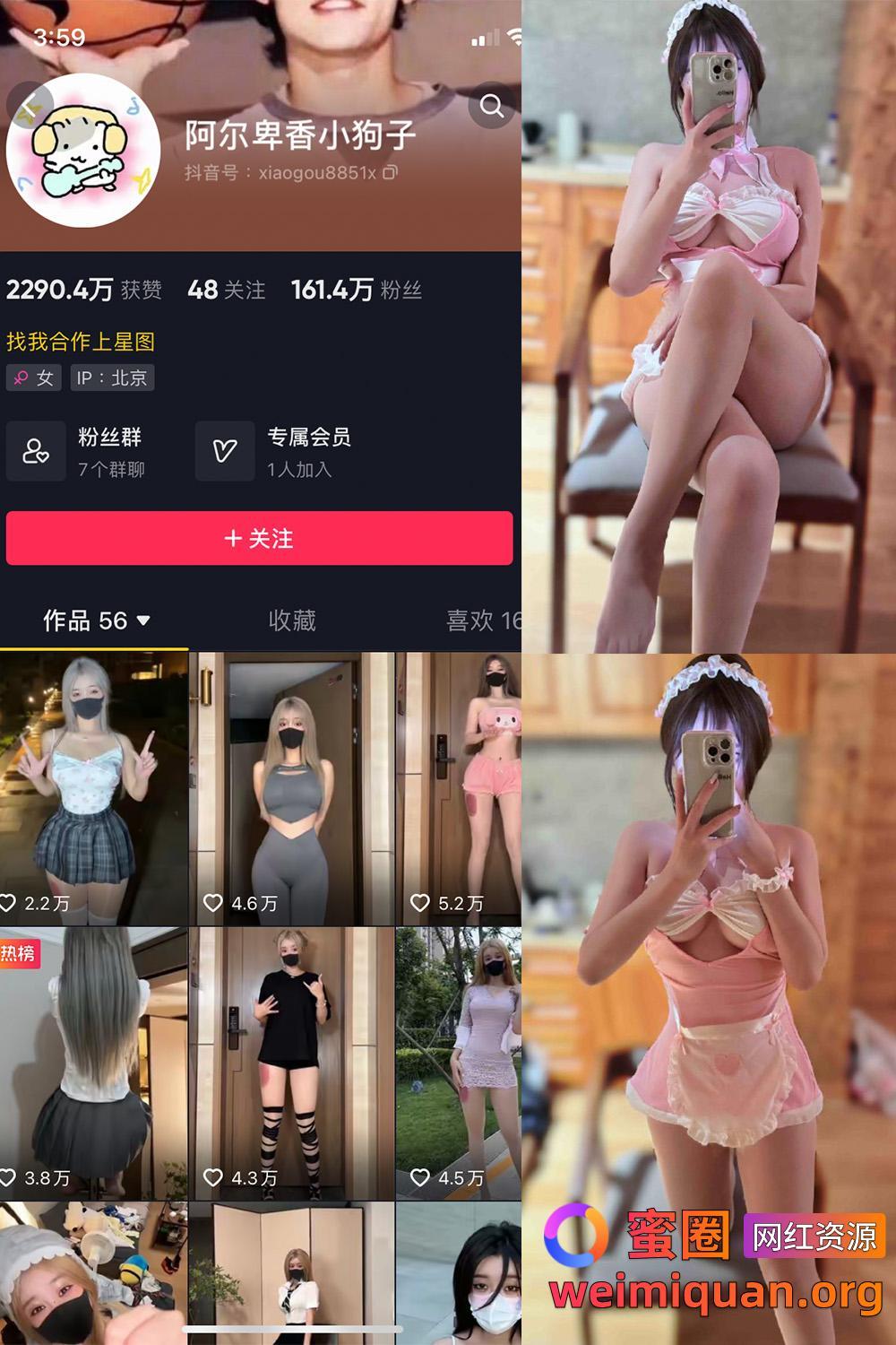 抖音 阿尔卑香小狗子 微密圈 NO.039期 【10P】资源在线观看