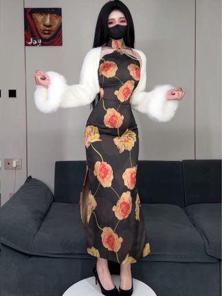 阿尔卑香小狗子微密圈的独家风格，用照片记录她的成长