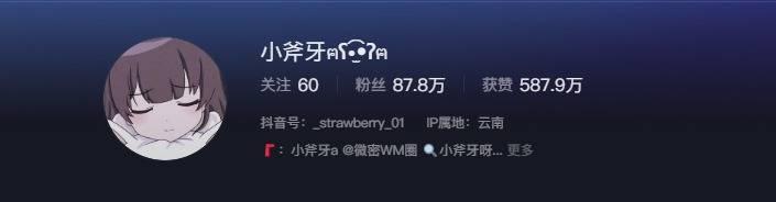 如何看待抖音网红小斧牙呀微密圈资源