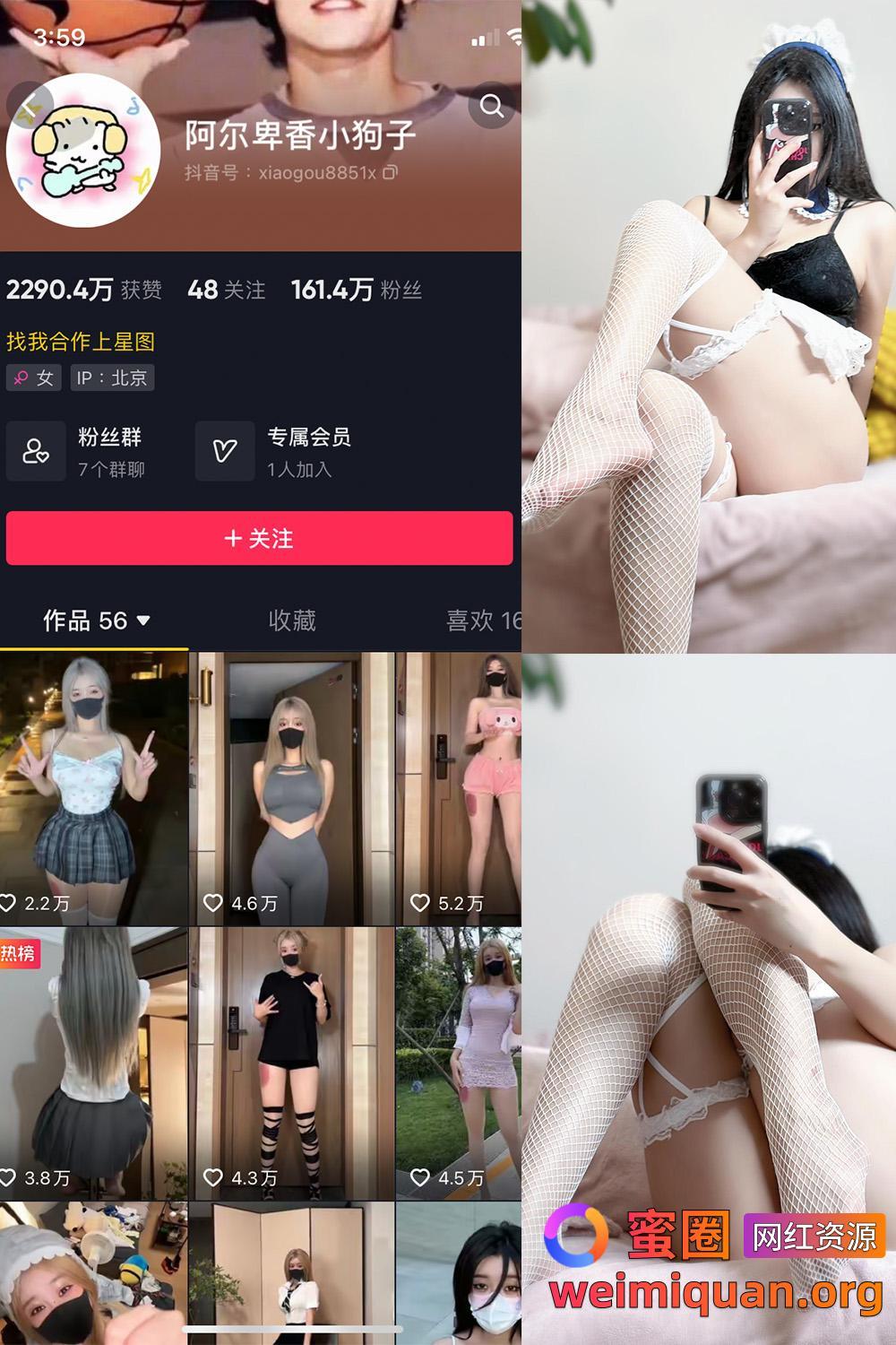 抖音 阿尔卑香小狗子 微密圈 NO.033期 【19P】资源在线观看 抖音 阿尔卑香小狗子 微密圈 NO.033期 【19P】资源在线观看