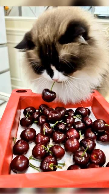 被造谣最多的up主张老师的纹身揭秘,高辨度的标志 被造谣最多的up主张老师的纹身揭秘,高辨度的标志