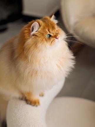 洁己u微密圈全新体验，湖南辣妹的私密生活画面抢先看