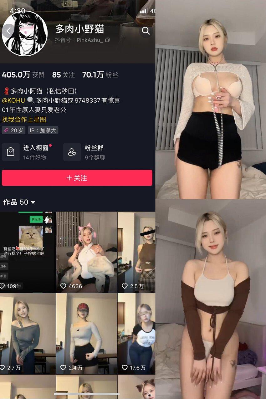 电鸽 抖音 多肉小野猫 秘语空间 NO.017期 【10P20V】最新内容更新至：2025年05月15日资源在线观看