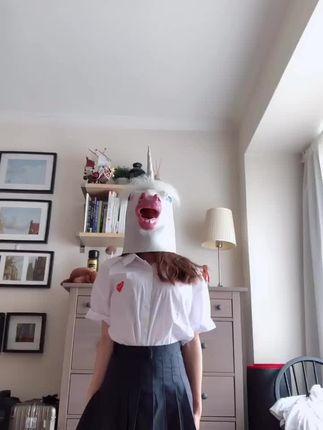 VC马的微博梗是什么?深入解析VC马的背后故事 VC马的微博梗是什么?深入解析VC马的背后故事