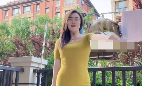 抖音你的蜜桃姨微密圈有什么？（你的蜜桃姨图片精选作品）