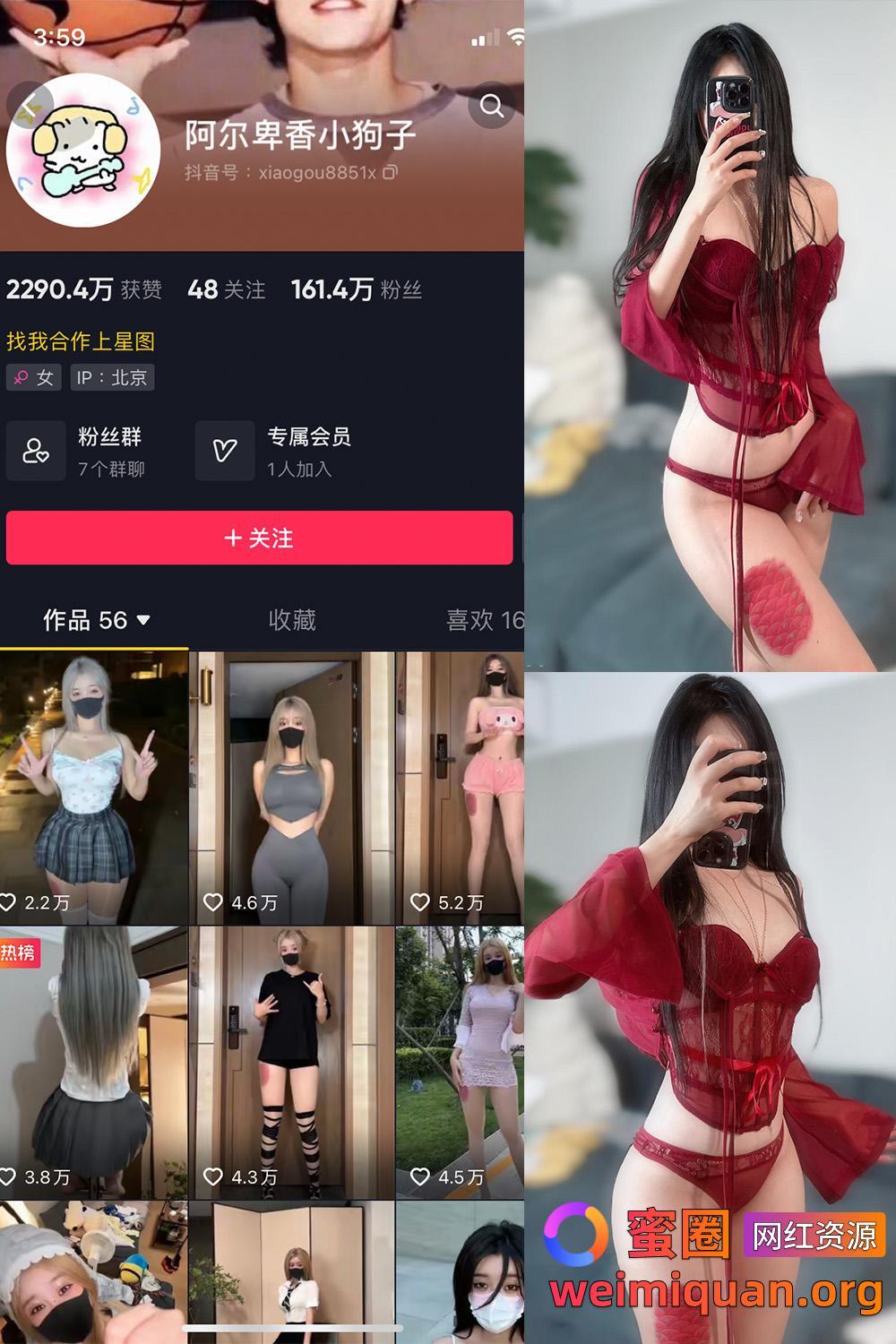 抖音 阿尔卑香小狗子 微密圈 NO.056期 【10P2V】资源在线观看