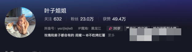 新宠儿叶子姐姐微密圈美丽瞬间与个人魅力的完美诠释