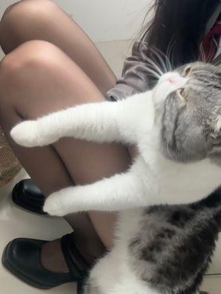 巨恶小锯鳄微密“我开心你意”网红的最新互动故事 巨恶小锯鳄微密“我开心你意”网红的最新互动故事