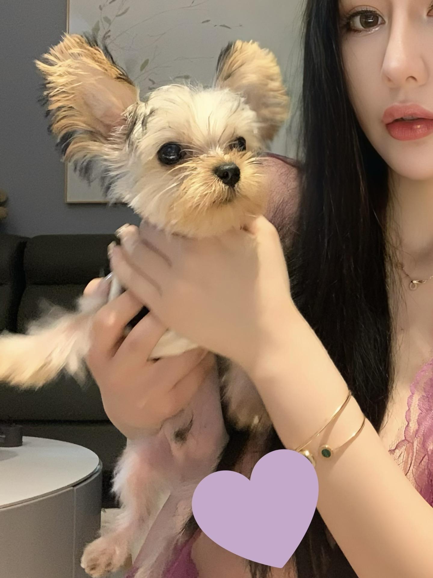 微博33万粉丝不爱笑的赛琳,资源下载全解析 微博33万粉丝不爱笑的赛琳,资源下载全解析