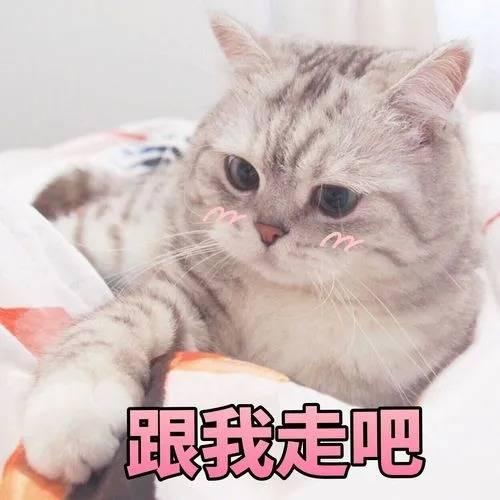 豆奶泡泡微密照片资源怎么回事? 豆奶泡泡微密照片资源怎么回事?