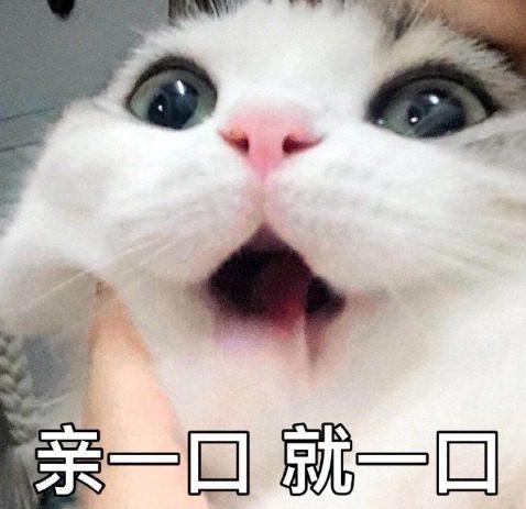 抖音网红婉柔yyyy微密圈资源丰富揭秘稀有作品和内心世界