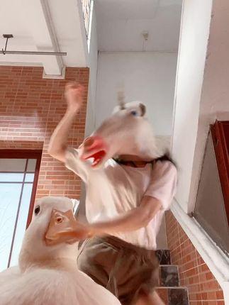 网红VC微密圈大合集，微密圈付费资源抢先看