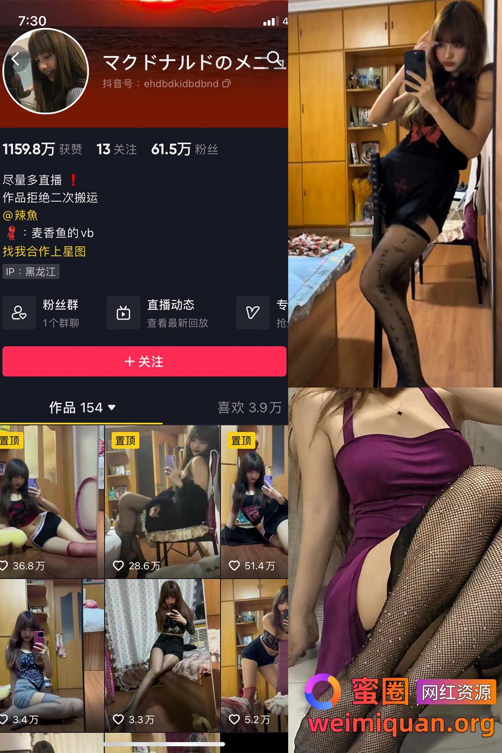 抖音网红 麦香鱼 微密圈 觅圈 收费资源 NO.004期 【5P2V】最新至：2024.10.27资源在线观看