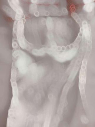 大鹅gaga微密圈图片视频合集（大鹅姐姐微密圈全套资源）