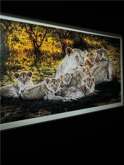 张鑫Amy私密写真她的黑色蕾丝装性感十足,独家图集视频双重呈现 张鑫Amy私密写真她的黑色蕾丝装性感十足,独家图集视频双重呈现