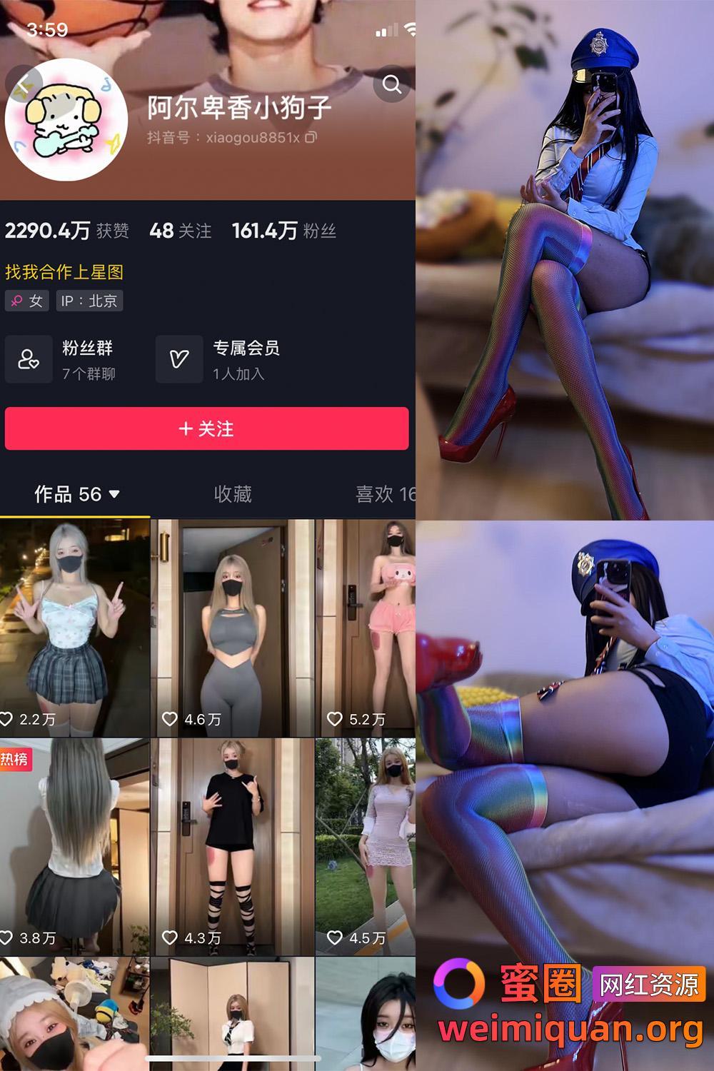 抖音 阿尔卑香小狗子 微密圈 NO.001-031期 最新至：2023合集内容资源在线观看