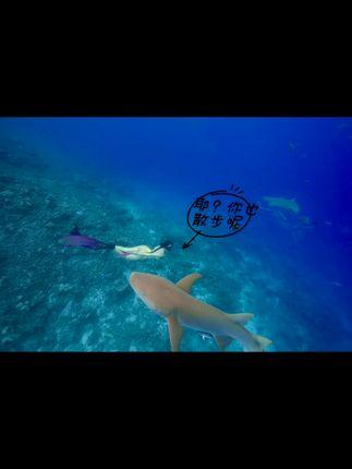 洁己u微密圈内秘密揭晓,探索她的微密圈内世界 洁己u微密圈内秘密揭晓,探索她的微密圈内世界