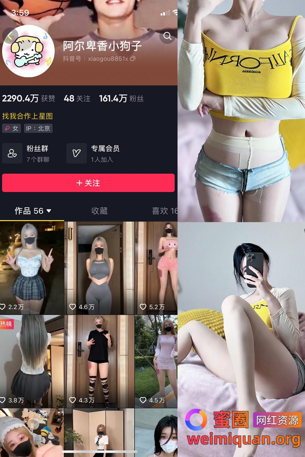 抖音 阿尔卑香小狗子 微密圈 NO.032期 【22P】资源在线观看