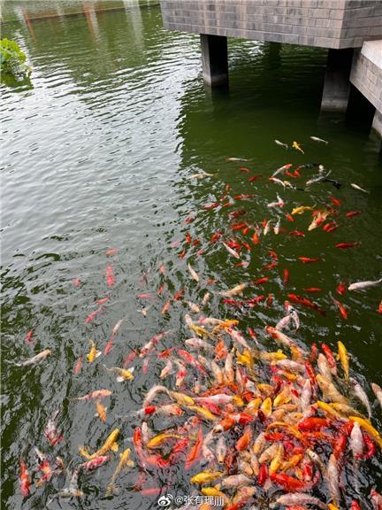 张鑫Amy退圈传闻是真的吗？微密圈资源是否还会更新？