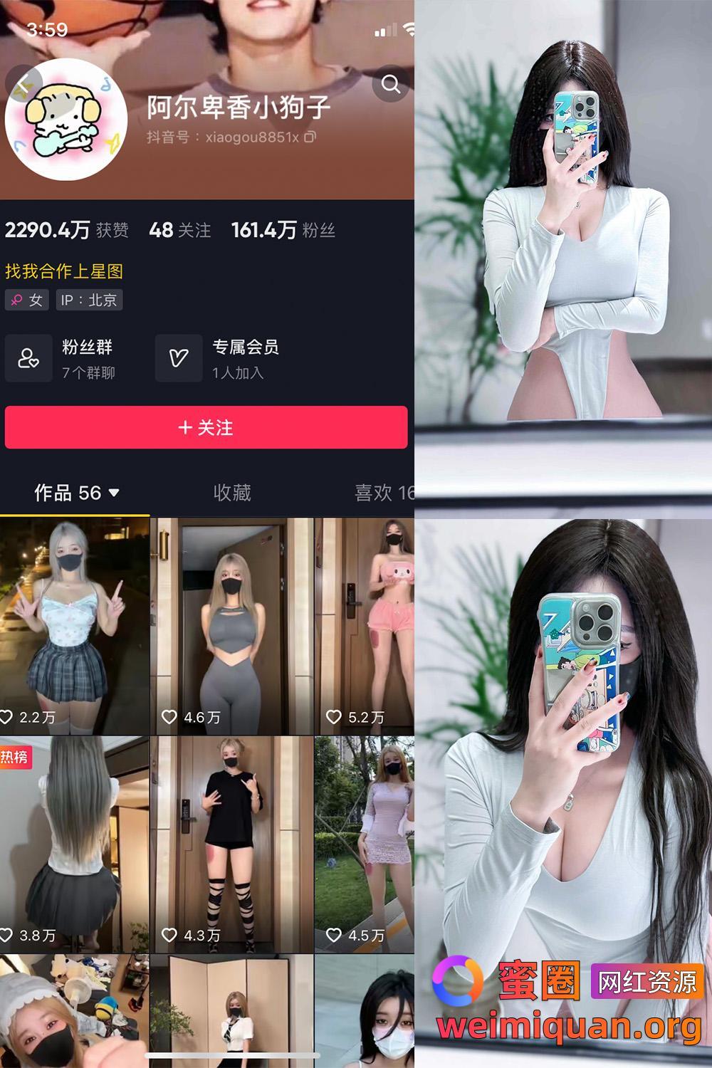 抖音 阿尔卑香小狗子 微密圈 NO.041期 【10P2V】资源在线观看