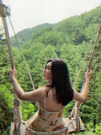 多肉大白兔图集资源汇总，汇总多肉大白兔的图集资源