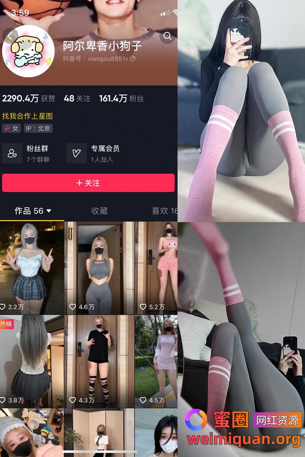 抖音 阿尔卑香小狗子 微密圈 NO.038期 【10P】资源在线观看