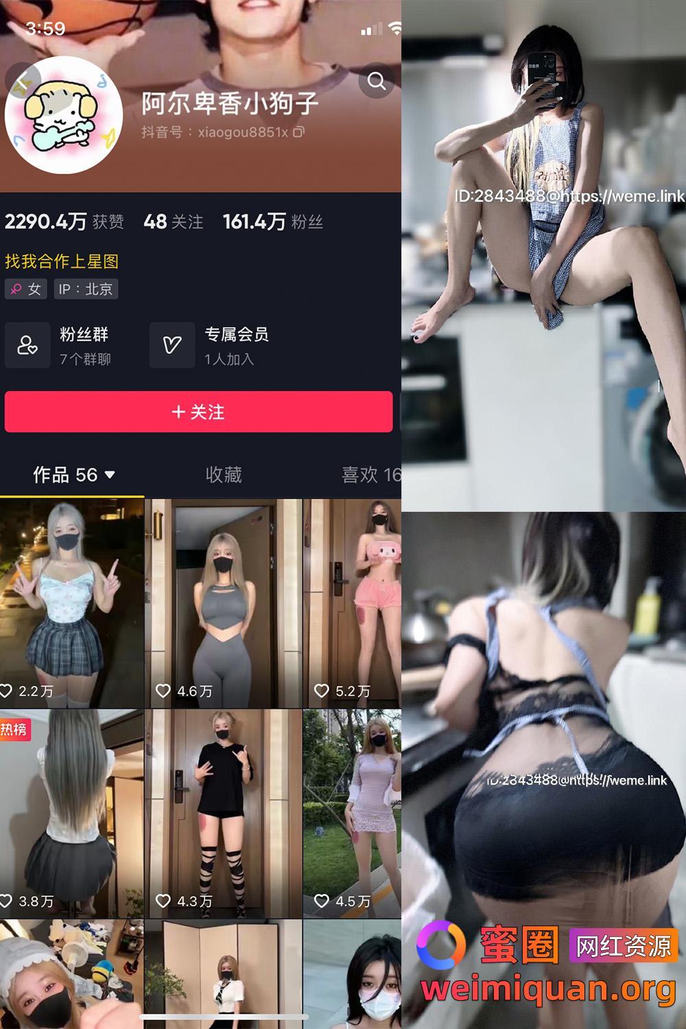 抖音 阿尔卑香小狗子 微密圈 NO.058期 【14P】资源在线观看