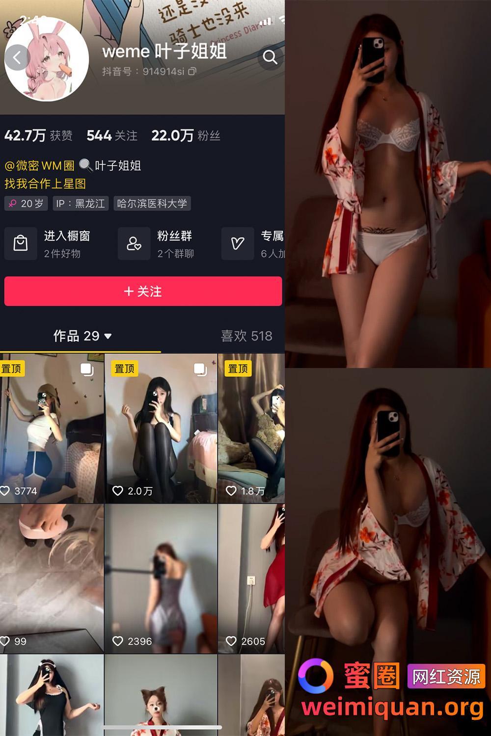 抖音 叶子姐姐 叶宝超甜 微密圈 觅圈 网红吃瓜 私密福利资源 NO.011期 【7V】资源在线观看