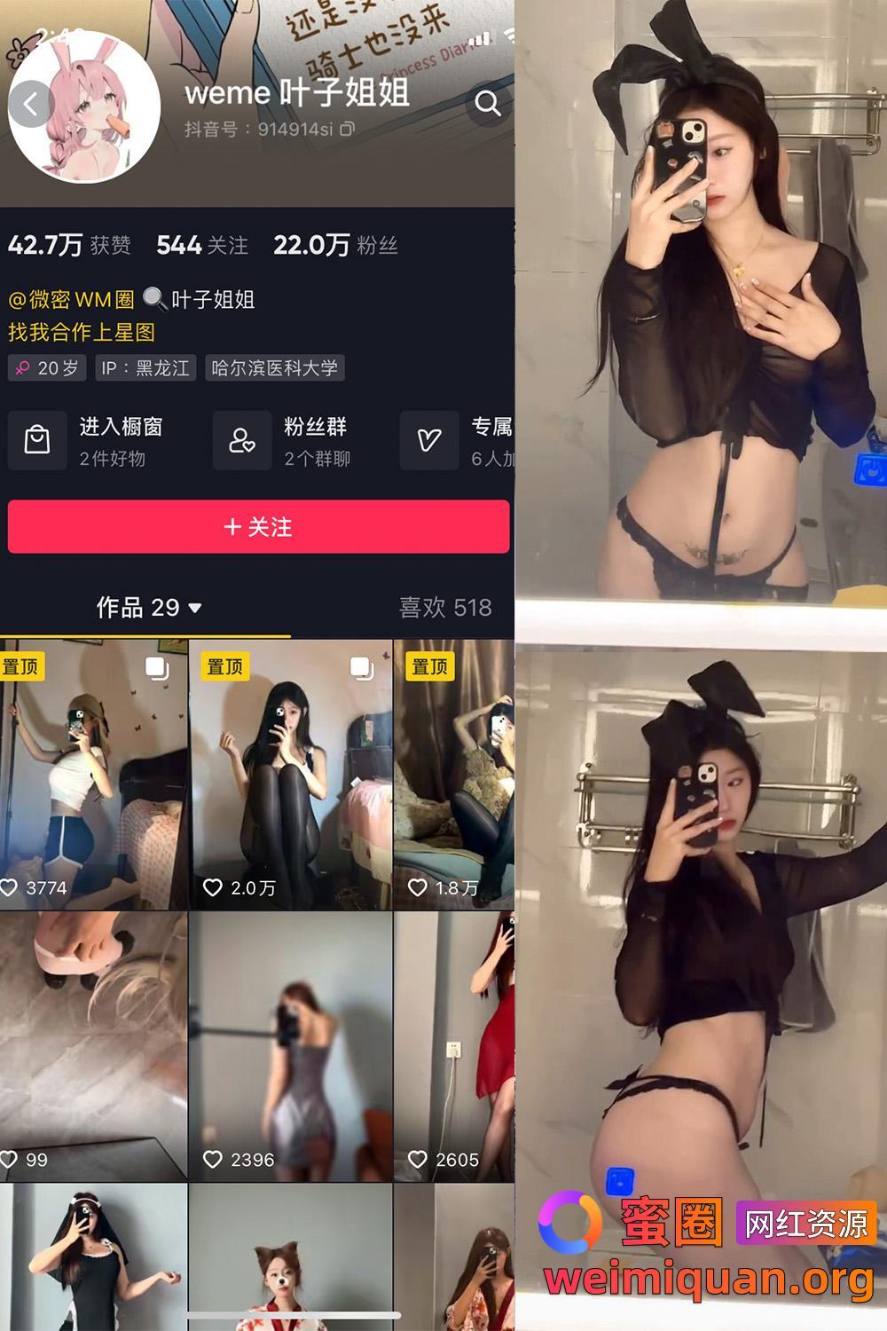 抖音 叶子姐姐 叶宝超甜 微密圈 觅圈 网红吃瓜 私密福利资源 NO.029期 【17P9V】最新至：2025.2.2资源在线观看