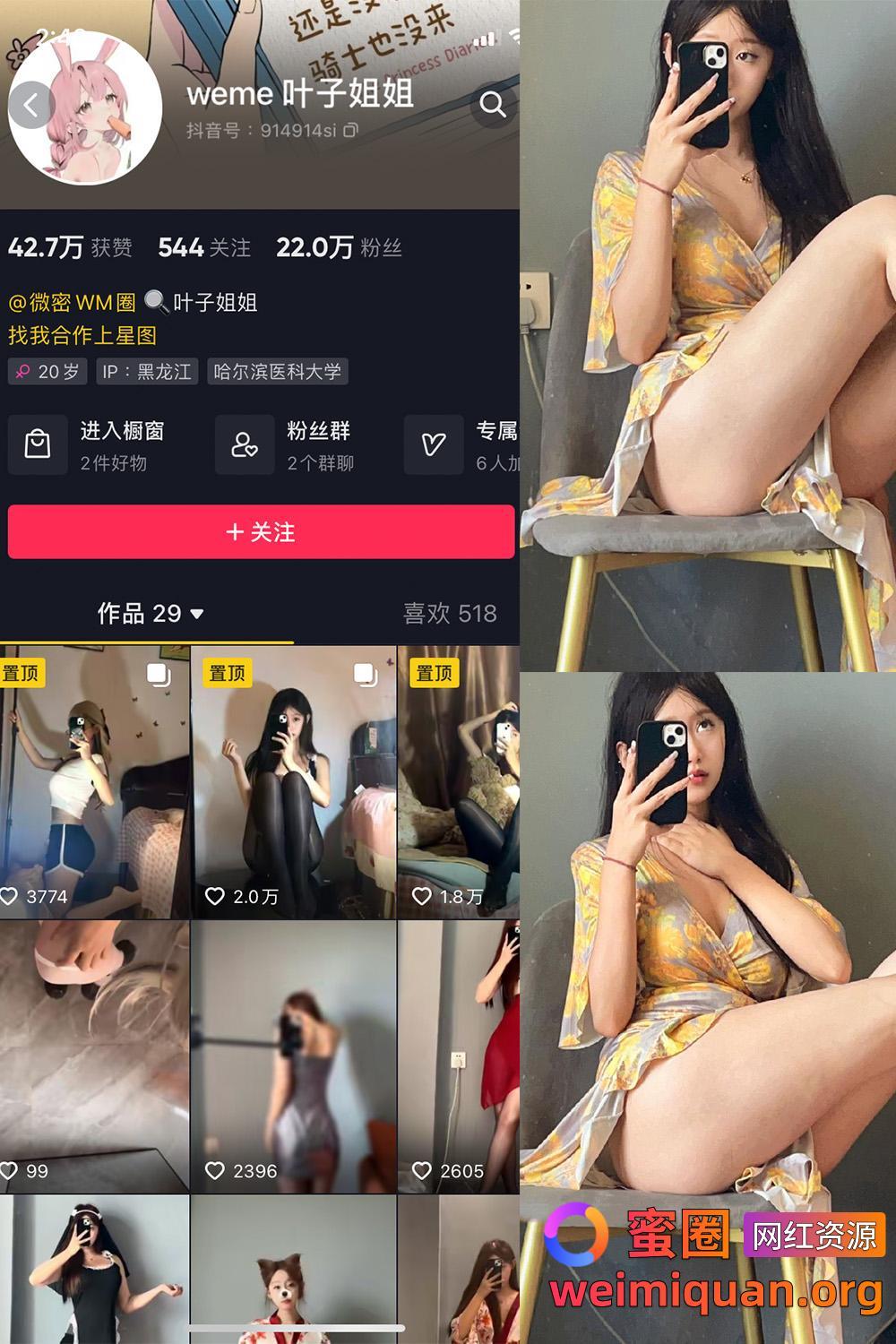 抖音 叶子姐姐 叶宝超甜 微密圈 觅圈 网红吃瓜 私密福利资源 NO.014期 【6P9V】资源在线观看