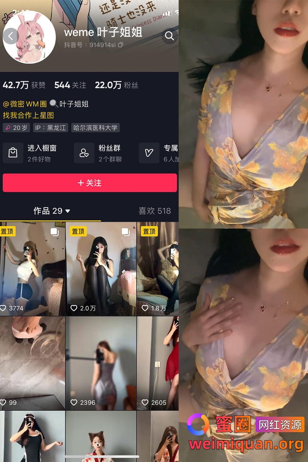 抖音 叶子姐姐 叶宝超甜 微密圈 觅圈 网红吃瓜 私密福利资源 NO.016期 【2V】资源在线观看