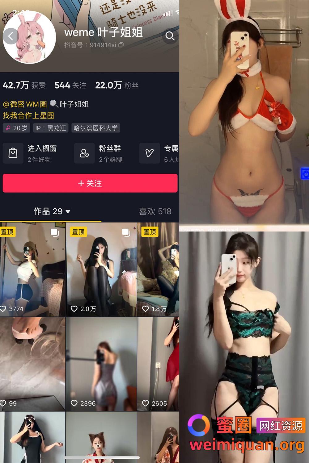 抖音 叶子姐姐 叶宝超甜 微密圈 觅圈 网红吃瓜 私密福利资源 NO.024期 【11P14V】资源在线观看