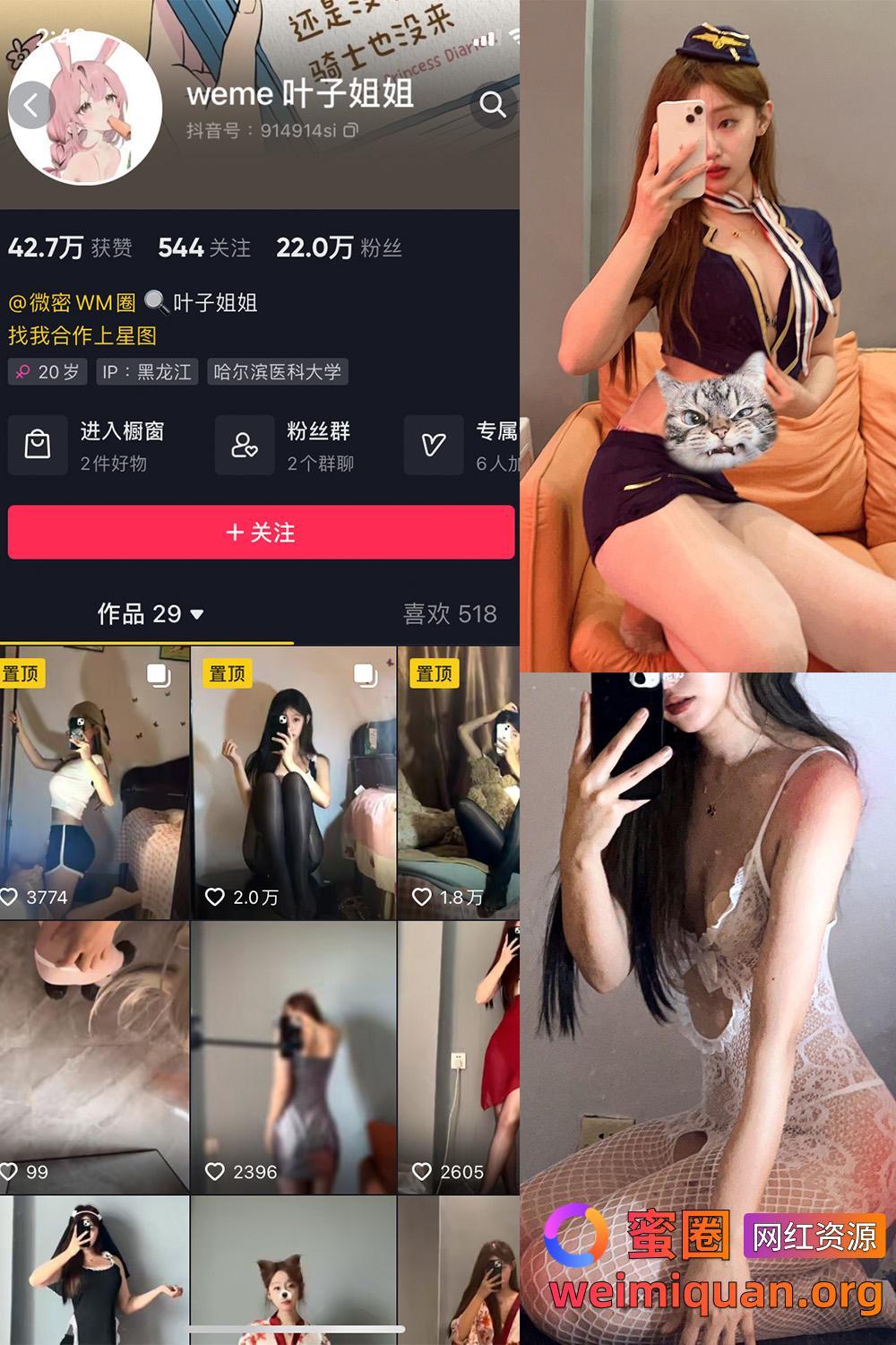 抖音 叶子姐姐 叶宝超甜 微密圈 觅圈 网红吃瓜 私密福利资源 NO.005期 【19P9V】资源在线观看