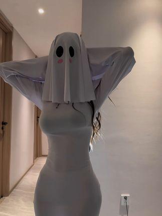 一只树懒的名场面集锦，她的经典瞬间为何引发热议