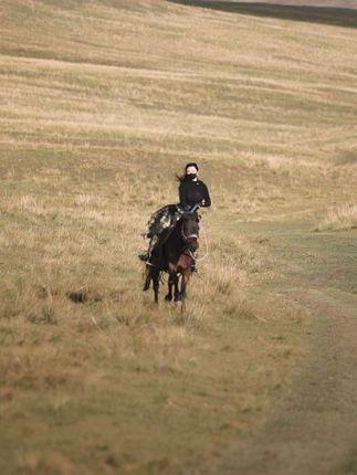 微密圈的MIYA，独家付费作品合集打包