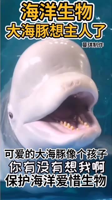 海豚baby微密圈私密照流出,曝光内幕揭秘背后故事 海豚baby微密圈私密照流出,曝光内幕揭秘背后故事