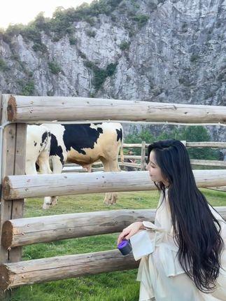 李嘉欣97个人资料与简介分享,深入探讨网红女神 李嘉欣97个人资料与简介分享,深入探讨网红女神