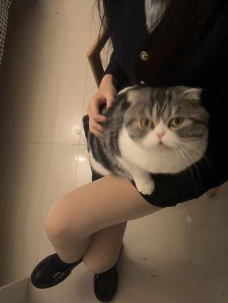 巨恶小锯鳄微密圈图片合集,个性穿搭尽显时尚魅力 巨恶小锯鳄微密圈图片合集,个性穿搭尽显时尚魅力