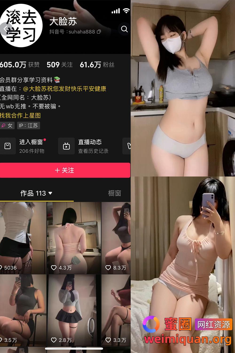 抖音 大脸苏 微密圈 觅圈 NO.002期 【5P30V】资源在线观看