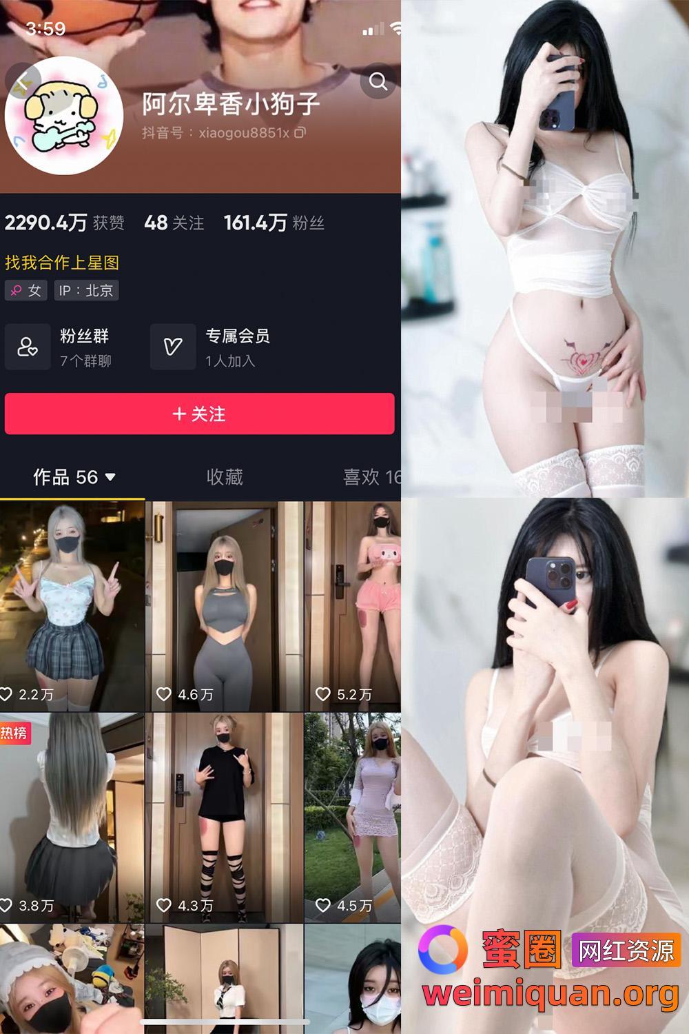 抖音 阿尔卑香小狗子 微密圈 NO.043期 【18P1V】资源在线观看