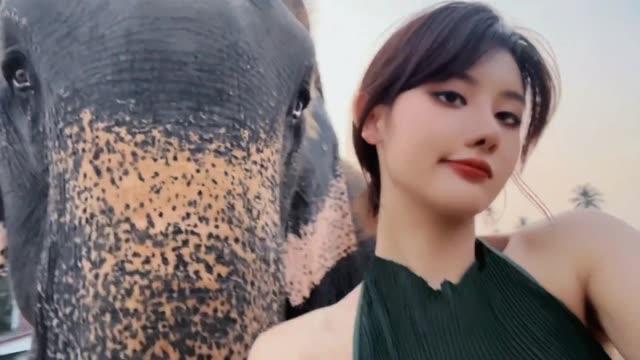 就是阿朱啊的事业成功,探索她的成功之路 就是阿朱啊的事业成功,探索她的成功之路