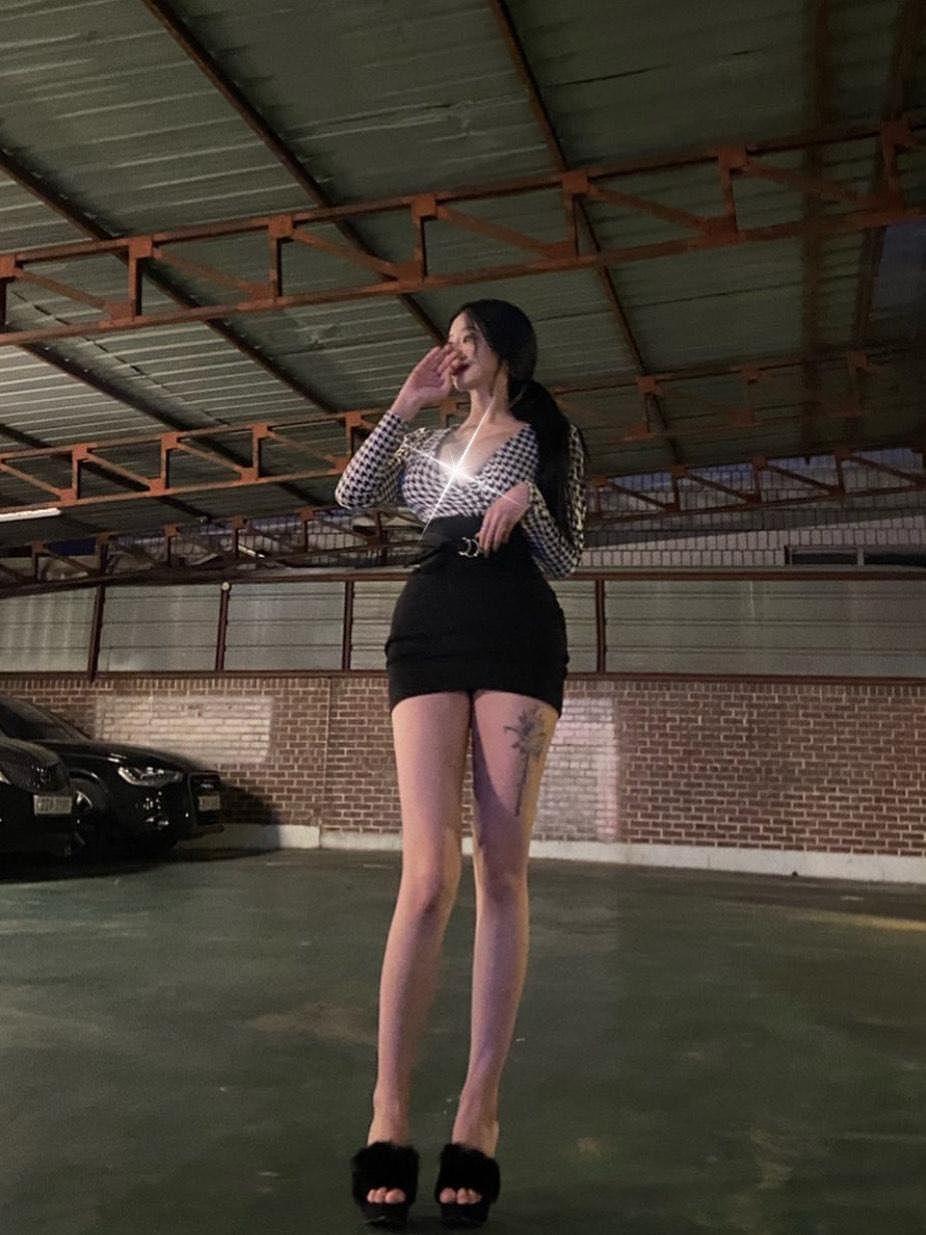 软糖熊的视频全集合集，无广告享高清画质